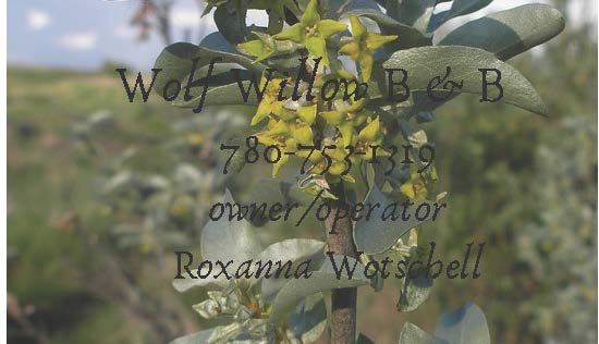 Wolf Willow Bed 7& Breakfast