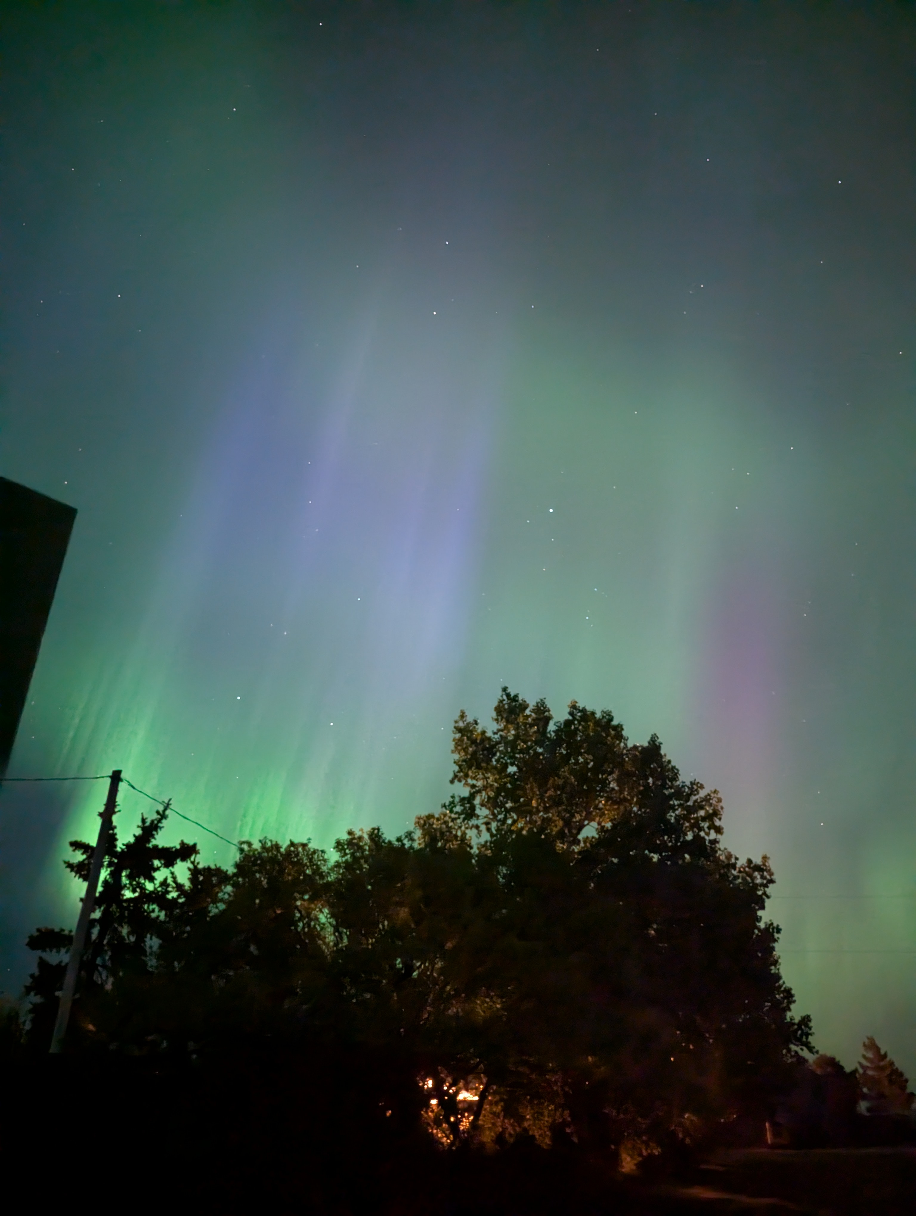 northern lights at Bodo alberta dark sky viewing